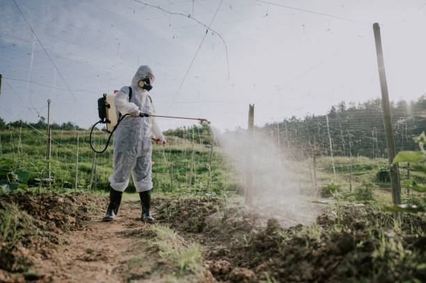 Best Mosquito Control Services  in Olathe, CO
