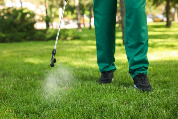 Best Mosquito Control Services  in Olathe, CO