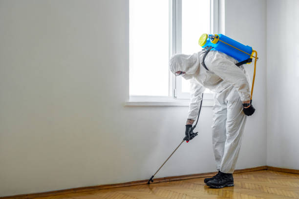 Best Affordable Pest Control Services  in Olathe, CO