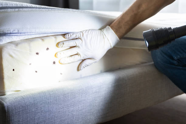 Best Pest Control for Restaurants  in Olathe, CO